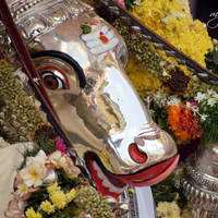 PanguniFestival_2016_Mylapore_AthigaraNandhi_img02.jpg