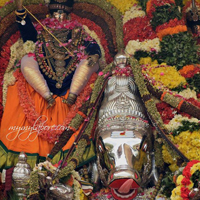 PanguniFestival_2016_Mylapore_AthigaraNandhi_img04.jpg