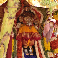 PanguniFestival_2016_Mylapore_004.JPG
